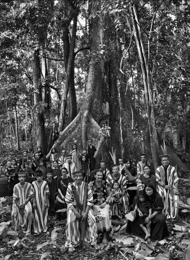 Fotografía en blanco y negro de un grupo indígena reunido frente a un enorme árbol en la selva amazónica, por Sebastião Salgado.