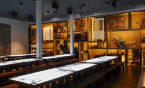 Sala museográfica con mesas interactivas y objetos históricos